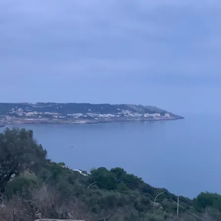 Salento Don Peppino *