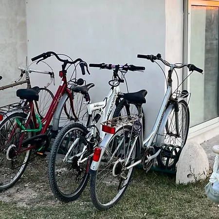 Salento Don Peppino Holiday home *