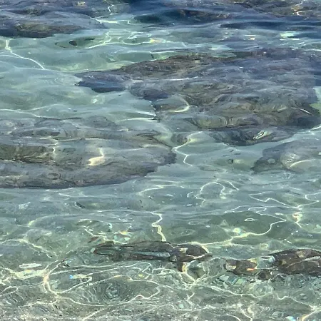 Salento Don Peppino Holiday home *