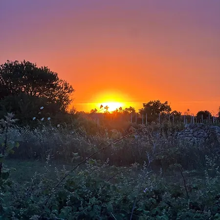 Salento Don Peppino Holiday home *