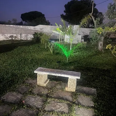 Salento Don Peppino *